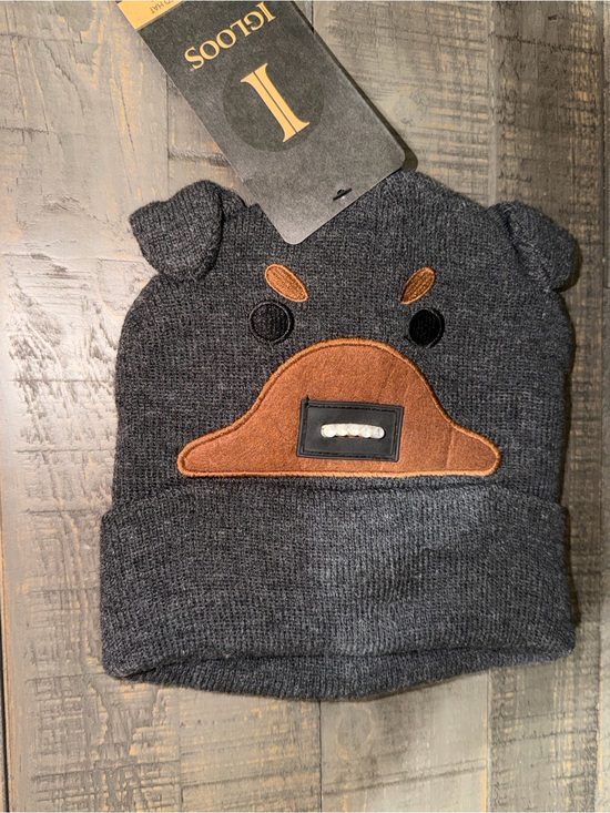 Igloo Other - NWT Igloo Kids Dark Gray Bear Beanie with Brown Patch lights up LED